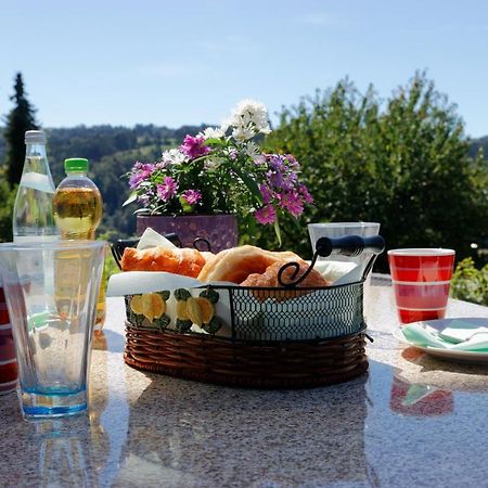 Ferienappartement Donautal Obernzell Ngoại thất bức ảnh